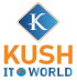 Kush IT World – Digital Marketing and Website Designing Agency in Saharanpur