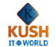Kush IT World – Digital Marketing and Website Designing Agency in Saharanpur