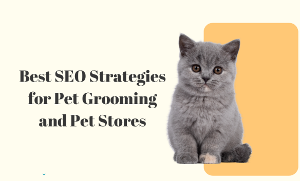 Best SEO Strategies for Pet Grooming and Pet Stores