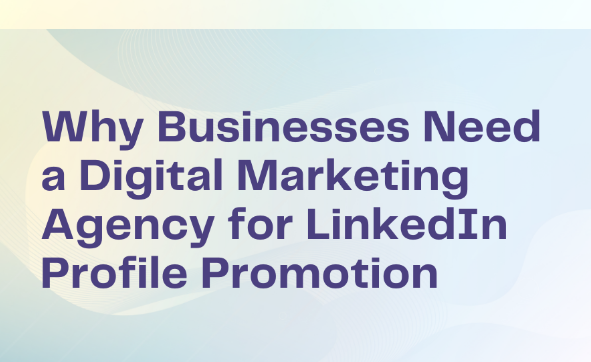Why Businesses Need a Digital Marketing Agency for LinkedIn Profile Promotion